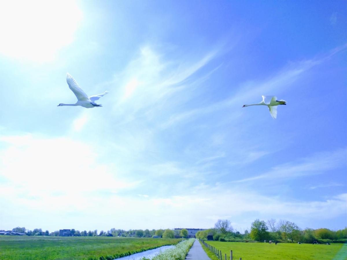 B&Bslapenopeeneiland Kaag Ngoại thất bức ảnh